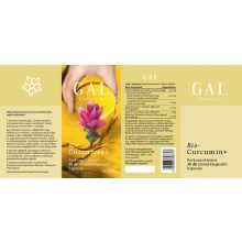 GAL Biocurcumin+ 30db