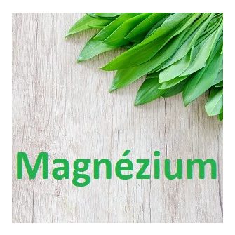 Magnézium