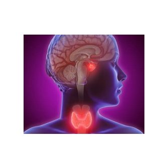 Női hormonegyensúly