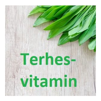 Terhesvitamin